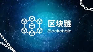 DeFi代币分配变革与A股新股改革的市场机制对比研究